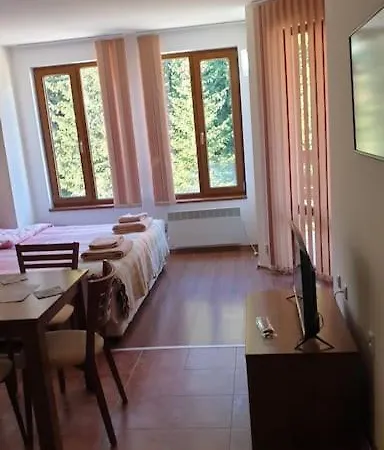 Rositsa 28